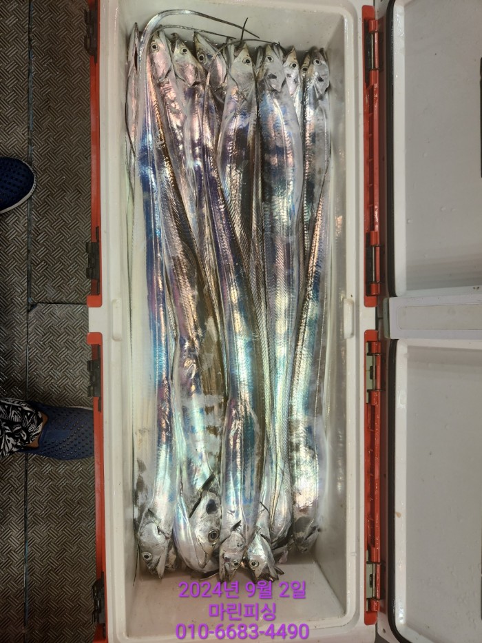 33eb4621f5c5f6abfb158183fa98ac2d_1725328953_0121.jpg 33eb4621f5c5f6abfb158183fa98ac2d_1725328953_0121.jpg