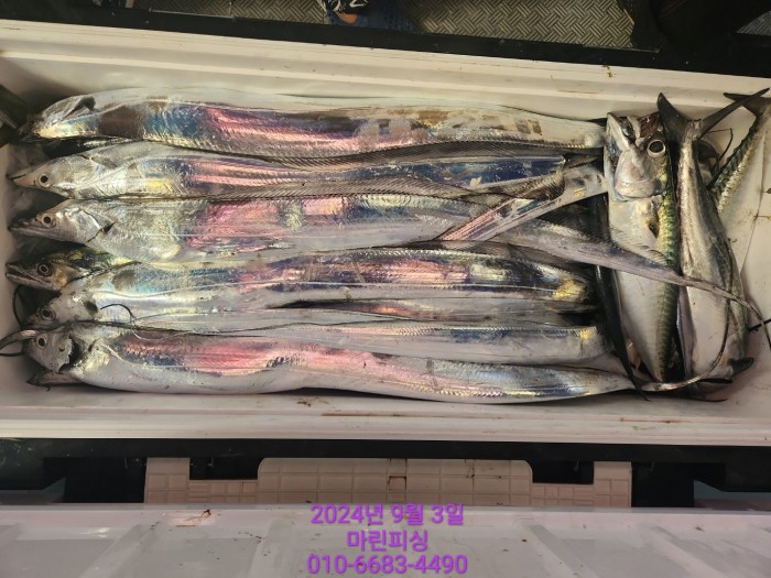 33eb4621f5c5f6abfb158183fa98ac2d_1725328954_2079.jpg 33eb4621f5c5f6abfb158183fa98ac2d_1725328954_2079.jpg