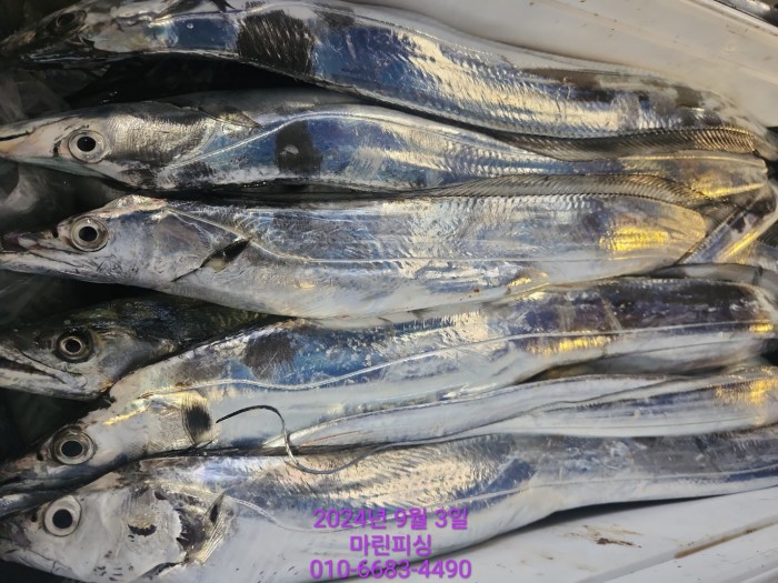 33eb4621f5c5f6abfb158183fa98ac2d_1725328955_2948.jpg 33eb4621f5c5f6abfb158183fa98ac2d_1725328955_2948.jpg