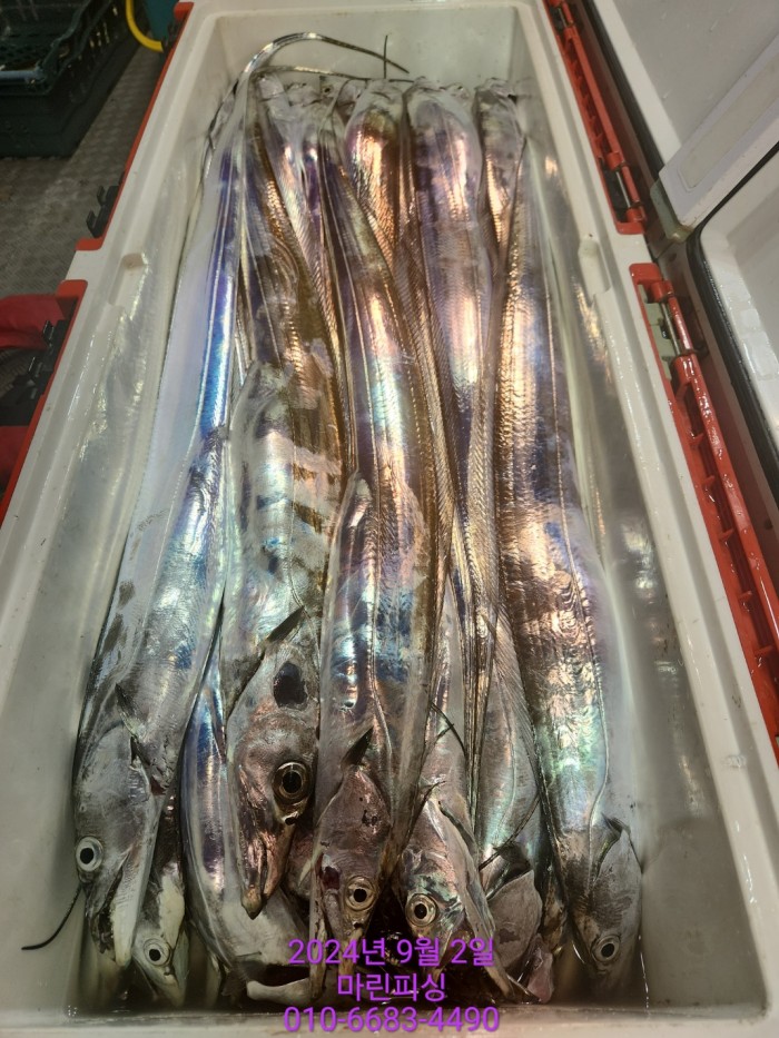 33eb4621f5c5f6abfb158183fa98ac2d_1725328956_3795.jpg 33eb4621f5c5f6abfb158183fa98ac2d_1725328956_3795.jpg