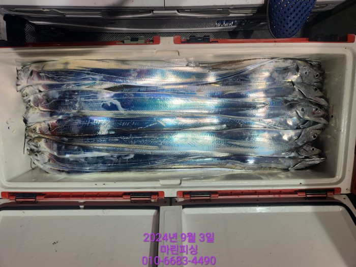 33eb4621f5c5f6abfb158183fa98ac2d_1725328957_9185.jpg 33eb4621f5c5f6abfb158183fa98ac2d_1725328957_9185.jpg