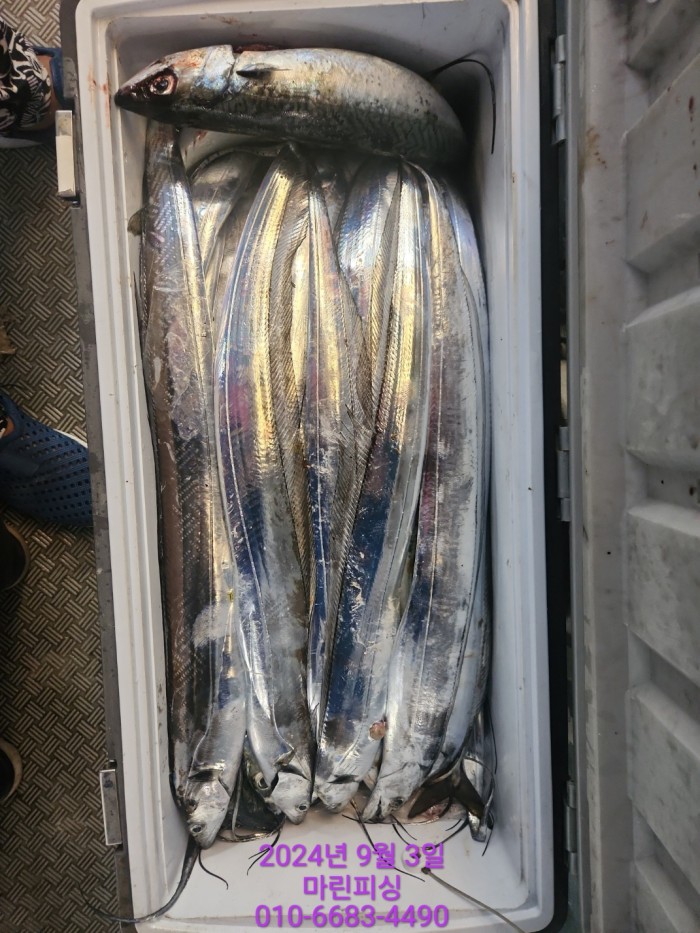 33eb4621f5c5f6abfb158183fa98ac2d_1725328962_2988.jpg 33eb4621f5c5f6abfb158183fa98ac2d_1725328962_2988.jpg