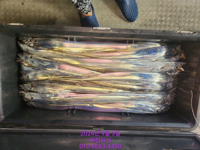 33eb4621f5c5f6abfb158183fa98ac2d_1725328965_287.jpg 33eb4621f5c5f6abfb158183fa98ac2d_1725328965_287.jpg