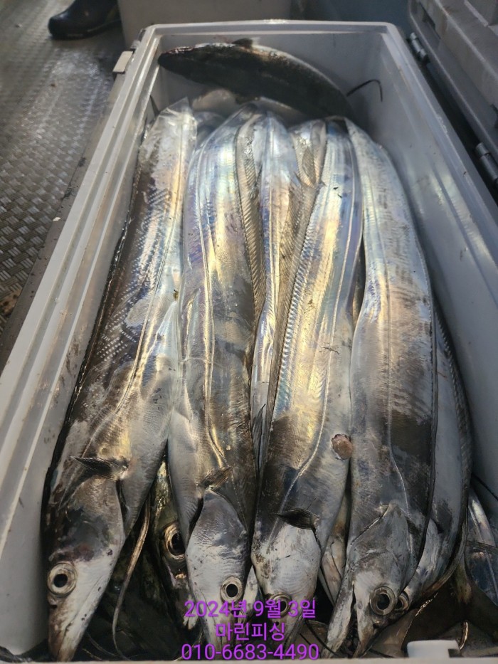 33eb4621f5c5f6abfb158183fa98ac2d_1725328966_6748.jpg 33eb4621f5c5f6abfb158183fa98ac2d_1725328966_6748.jpg