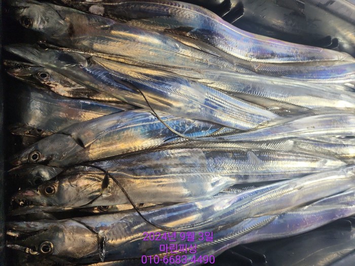 33eb4621f5c5f6abfb158183fa98ac2d_1725328968_3738.jpg 33eb4621f5c5f6abfb158183fa98ac2d_1725328968_3738.jpg