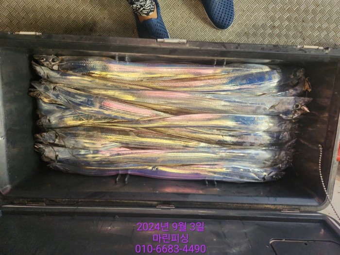 33eb4621f5c5f6abfb158183fa98ac2d_1725328969_9033.jpg 33eb4621f5c5f6abfb158183fa98ac2d_1725328969_9033.jpg