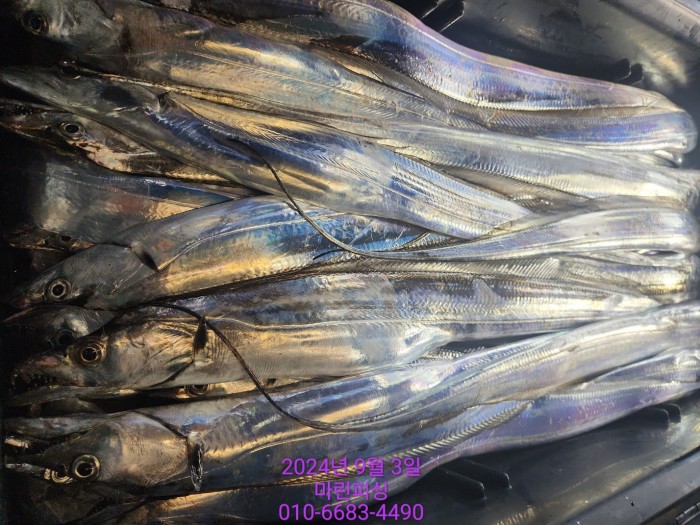 33eb4621f5c5f6abfb158183fa98ac2d_1725328971_1236.jpg 33eb4621f5c5f6abfb158183fa98ac2d_1725328971_1236.jpg