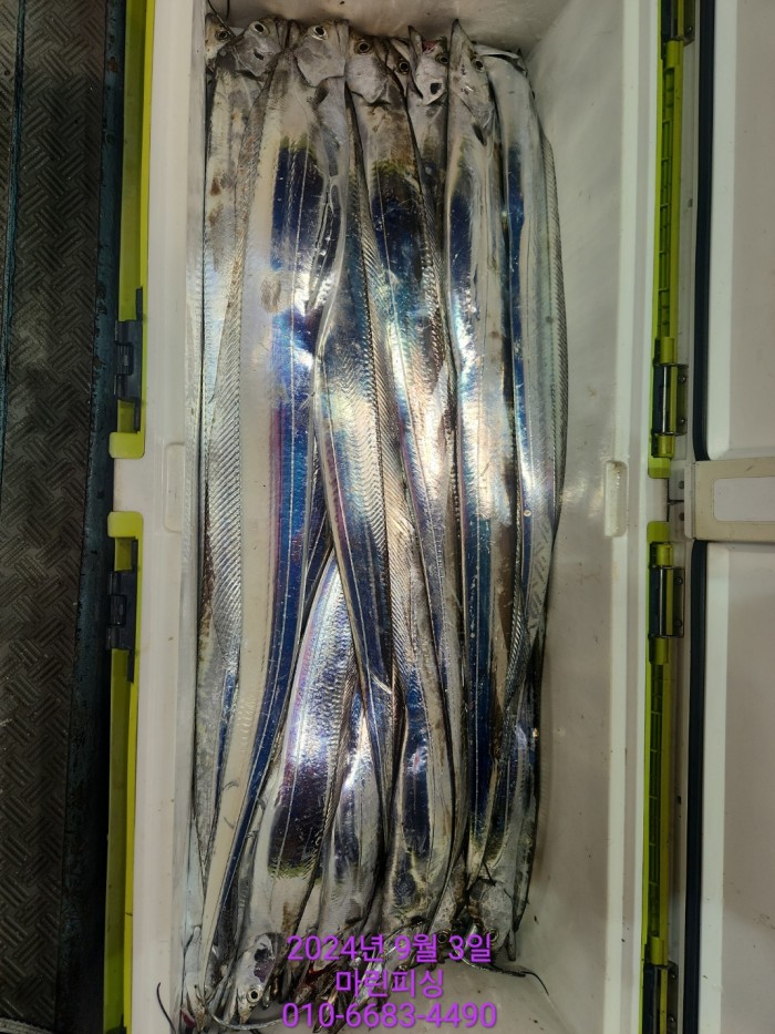 33eb4621f5c5f6abfb158183fa98ac2d_1725328972_2577.jpg 33eb4621f5c5f6abfb158183fa98ac2d_1725328972_2577.jpg