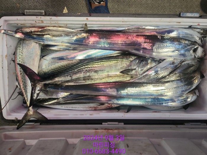 33eb4621f5c5f6abfb158183fa98ac2d_1725328973_535.jpg 33eb4621f5c5f6abfb158183fa98ac2d_1725328973_535.jpg