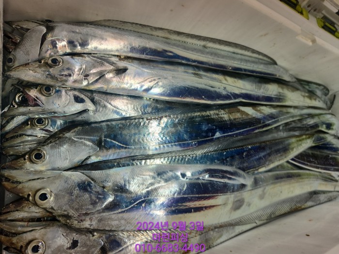 33eb4621f5c5f6abfb158183fa98ac2d_1725328974_8125.jpg 33eb4621f5c5f6abfb158183fa98ac2d_1725328974_8125.jpg