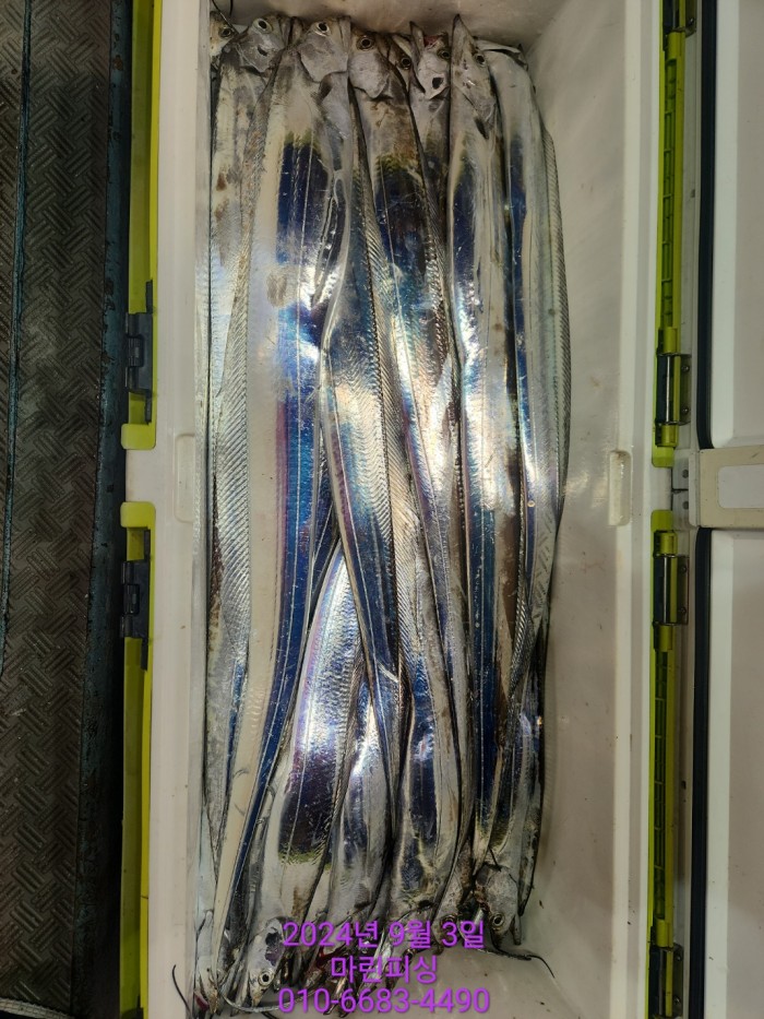 33eb4621f5c5f6abfb158183fa98ac2d_1725328976_4532.jpg 33eb4621f5c5f6abfb158183fa98ac2d_1725328976_4532.jpg