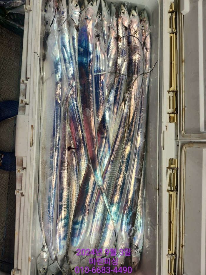 33eb4621f5c5f6abfb158183fa98ac2d_1725328978_0587.jpg 33eb4621f5c5f6abfb158183fa98ac2d_1725328978_0587.jpg