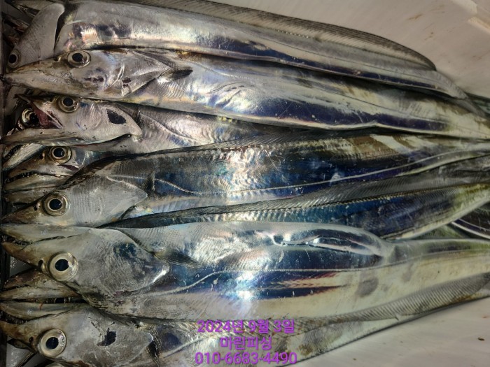 33eb4621f5c5f6abfb158183fa98ac2d_1725328979_5775.jpg 33eb4621f5c5f6abfb158183fa98ac2d_1725328979_5775.jpg