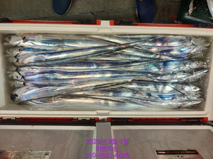 33eb4621f5c5f6abfb158183fa98ac2d_1725328981_139.jpg 33eb4621f5c5f6abfb158183fa98ac2d_1725328981_139.jpg