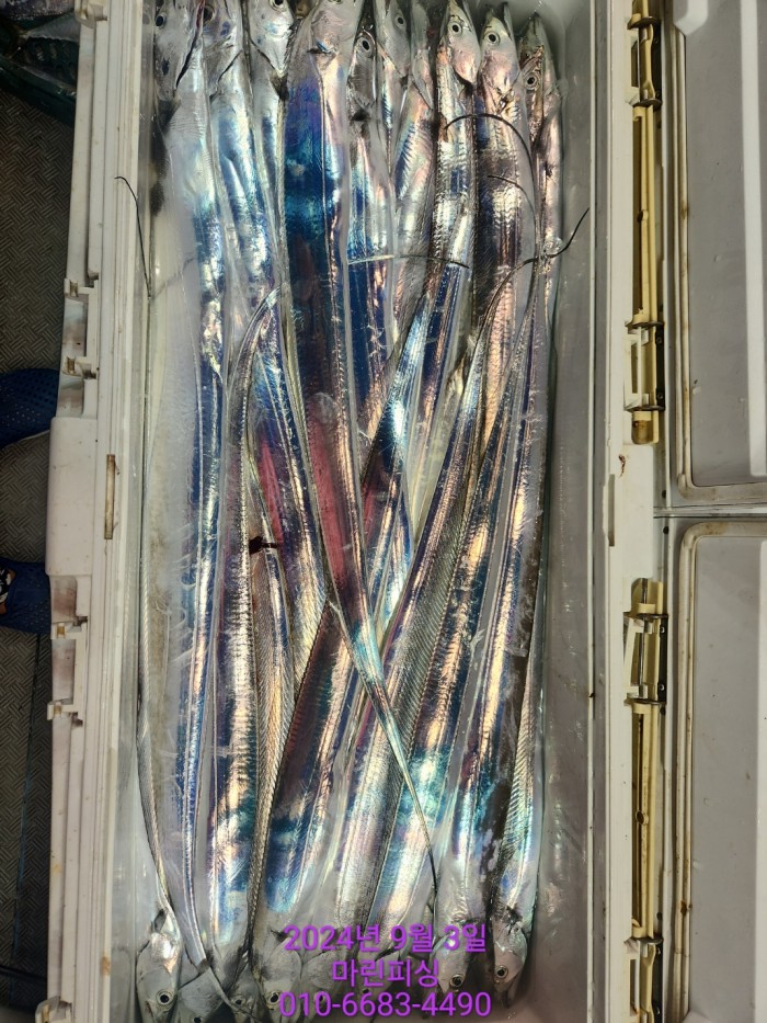 33eb4621f5c5f6abfb158183fa98ac2d_1725328983_0426.jpg 33eb4621f5c5f6abfb158183fa98ac2d_1725328983_0426.jpg