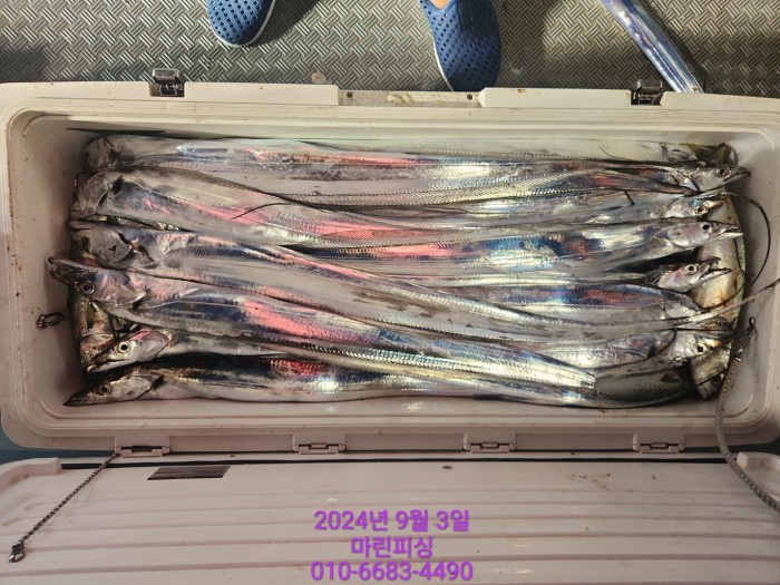 33eb4621f5c5f6abfb158183fa98ac2d_1725328984_1802.jpg 33eb4621f5c5f6abfb158183fa98ac2d_1725328984_1802.jpg