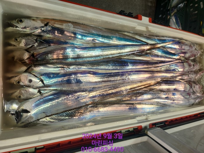 33eb4621f5c5f6abfb158183fa98ac2d_1725328985_9104.jpg 33eb4621f5c5f6abfb158183fa98ac2d_1725328985_9104.jpg