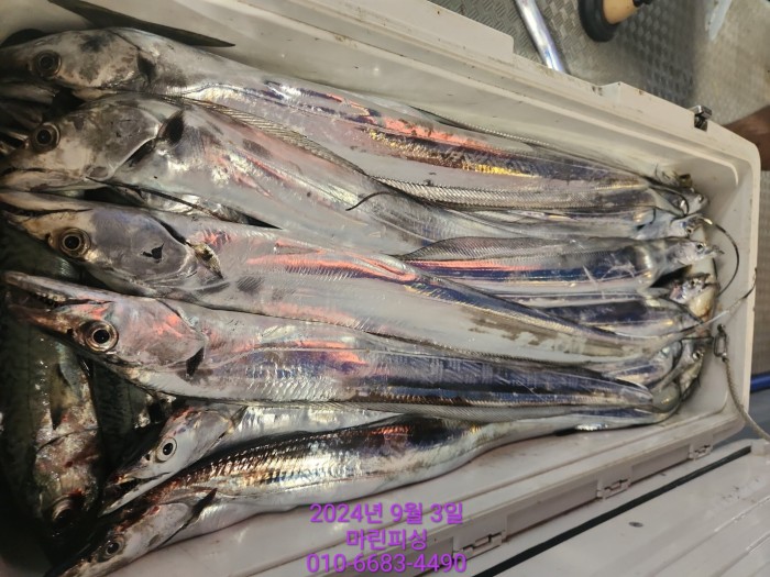 33eb4621f5c5f6abfb158183fa98ac2d_1725328987_0608.jpg 33eb4621f5c5f6abfb158183fa98ac2d_1725328987_0608.jpg