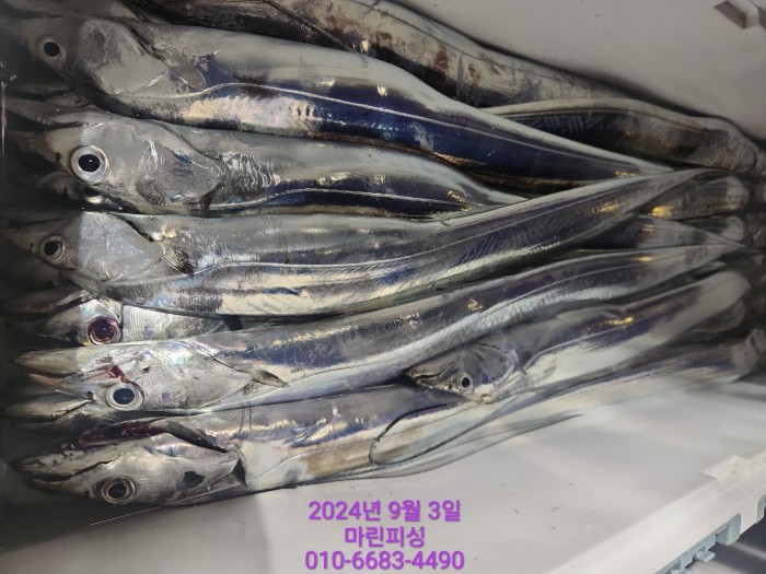 33eb4621f5c5f6abfb158183fa98ac2d_1725328989_6835.jpg 33eb4621f5c5f6abfb158183fa98ac2d_1725328989_6835.jpg