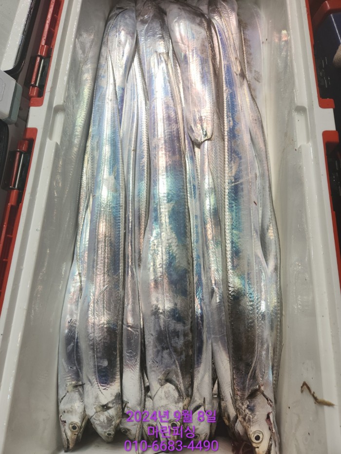 62638898cd11a7c889f5f282e20f0787_1725754391_9993.jpg 62638898cd11a7c889f5f282e20f0787_1725754391_9993.jpg