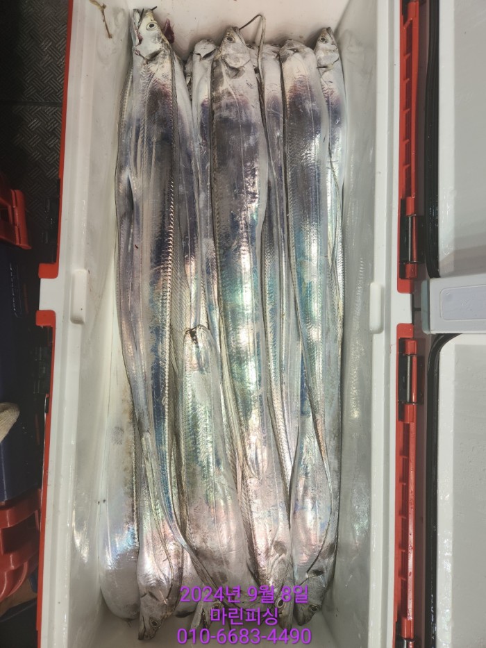 62638898cd11a7c889f5f282e20f0787_1725754393_2192.jpg 62638898cd11a7c889f5f282e20f0787_1725754393_2192.jpg