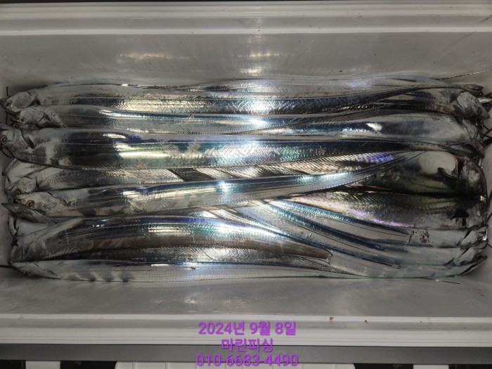 62638898cd11a7c889f5f282e20f0787_1725754394_4434.jpg 62638898cd11a7c889f5f282e20f0787_1725754394_4434.jpg