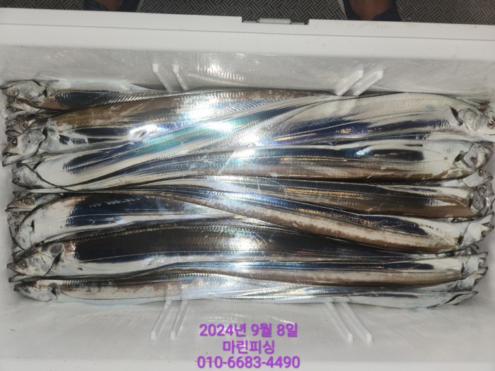 62638898cd11a7c889f5f282e20f0787_1725754395_4441.jpg 62638898cd11a7c889f5f282e20f0787_1725754395_4441.jpg