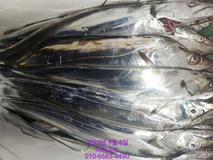 62638898cd11a7c889f5f282e20f0787_1725754396_8554.jpg 62638898cd11a7c889f5f282e20f0787_1725754396_8554.jpg