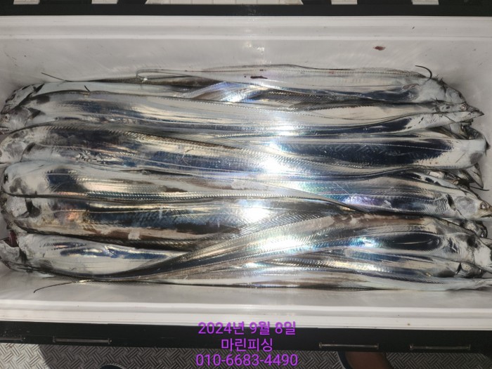 62638898cd11a7c889f5f282e20f0787_1725754398_323.jpg 62638898cd11a7c889f5f282e20f0787_1725754398_323.jpg