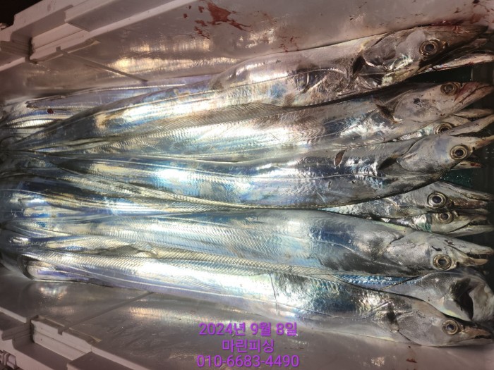 62638898cd11a7c889f5f282e20f0787_1725754399_8496.jpg 62638898cd11a7c889f5f282e20f0787_1725754399_8496.jpg