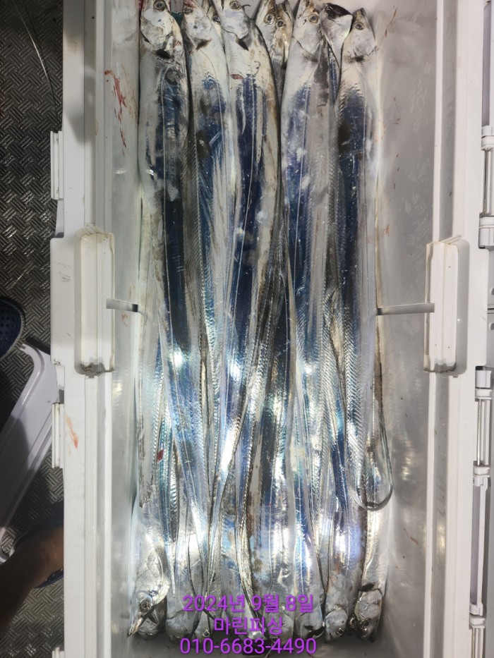 62638898cd11a7c889f5f282e20f0787_1725754401_4393.jpg 62638898cd11a7c889f5f282e20f0787_1725754401_4393.jpg