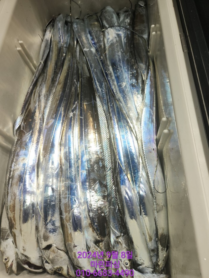 62638898cd11a7c889f5f282e20f0787_1725754403_3378.jpg 62638898cd11a7c889f5f282e20f0787_1725754403_3378.jpg