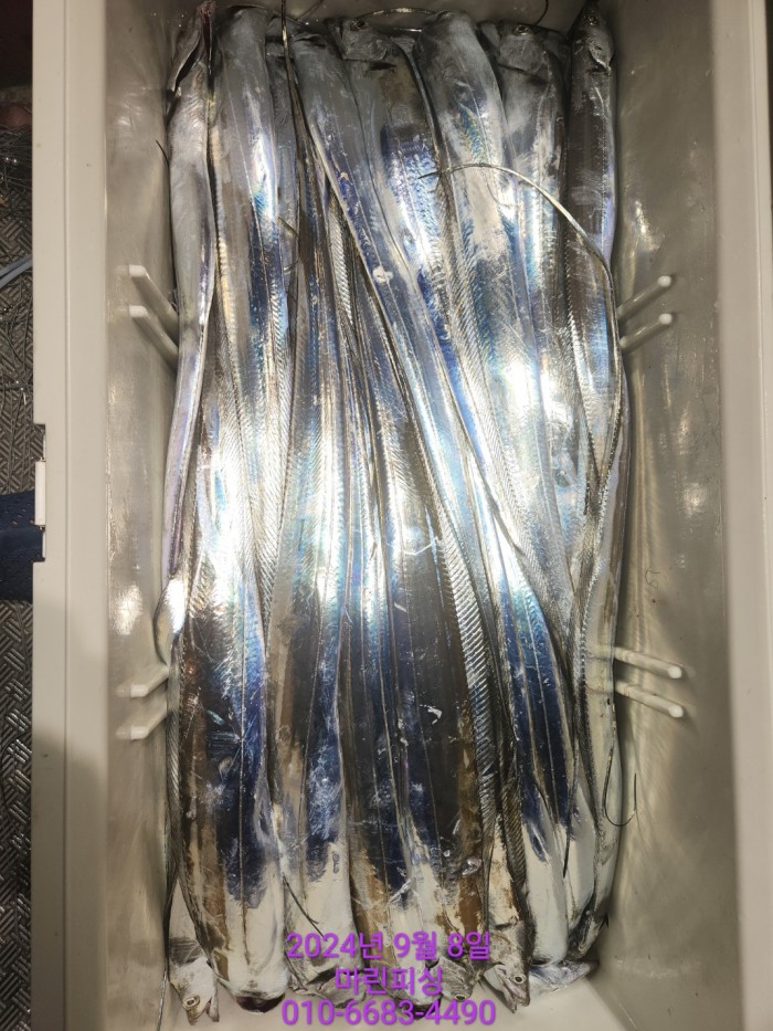 62638898cd11a7c889f5f282e20f0787_1725754404_4916.jpg 62638898cd11a7c889f5f282e20f0787_1725754404_4916.jpg