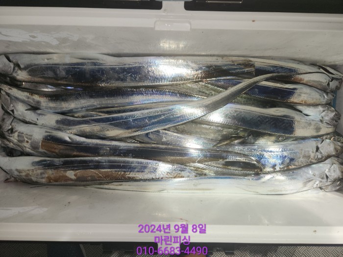 62638898cd11a7c889f5f282e20f0787_1725754405_6448.jpg 62638898cd11a7c889f5f282e20f0787_1725754405_6448.jpg