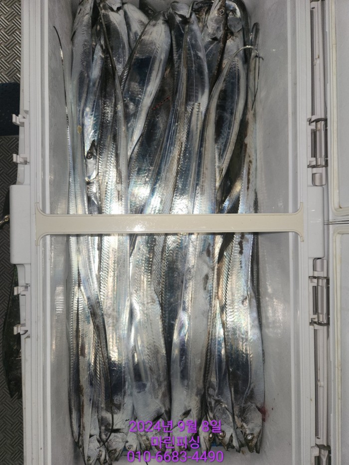 62638898cd11a7c889f5f282e20f0787_1725754407_4939.jpg 62638898cd11a7c889f5f282e20f0787_1725754407_4939.jpg