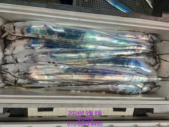 62638898cd11a7c889f5f282e20f0787_1725754408_7958.jpg 62638898cd11a7c889f5f282e20f0787_1725754408_7958.jpg