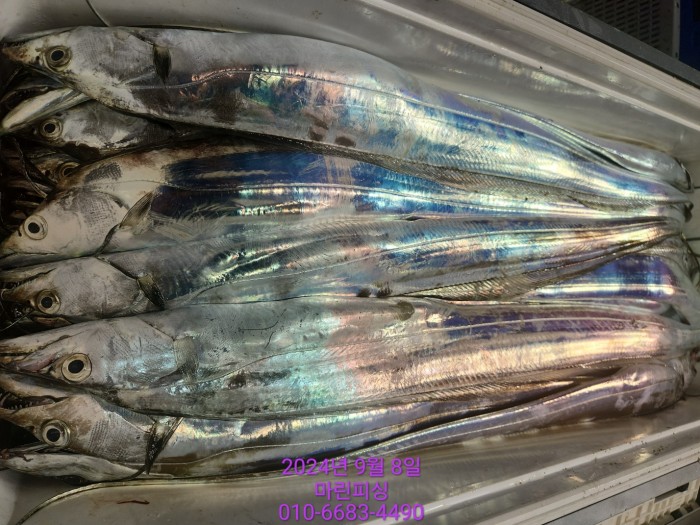 62638898cd11a7c889f5f282e20f0787_1725754411_3092.jpg 62638898cd11a7c889f5f282e20f0787_1725754411_3092.jpg