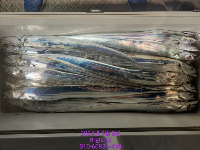 62638898cd11a7c889f5f282e20f0787_1725754415_0944.jpg 62638898cd11a7c889f5f282e20f0787_1725754415_0944.jpg