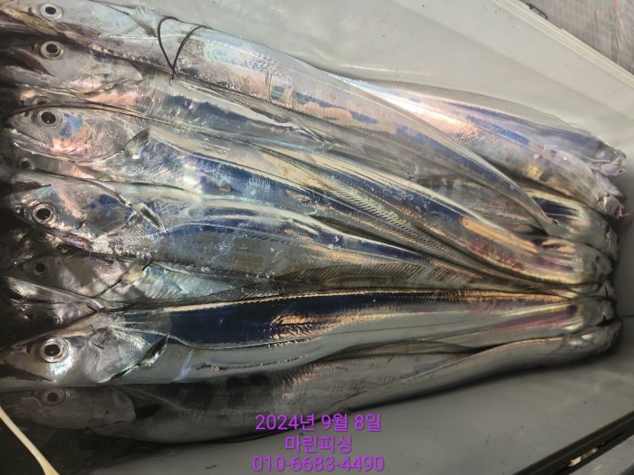 62638898cd11a7c889f5f282e20f0787_1725754416_5717.jpg 62638898cd11a7c889f5f282e20f0787_1725754416_5717.jpg