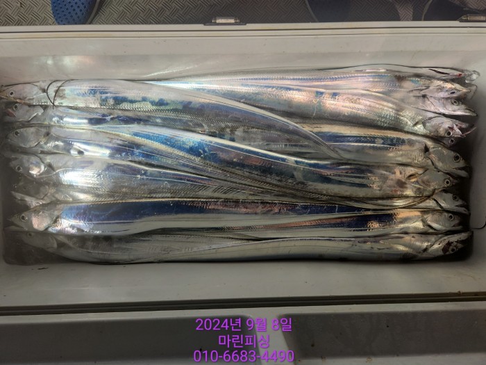 62638898cd11a7c889f5f282e20f0787_1725754417_5701.jpg 62638898cd11a7c889f5f282e20f0787_1725754417_5701.jpg