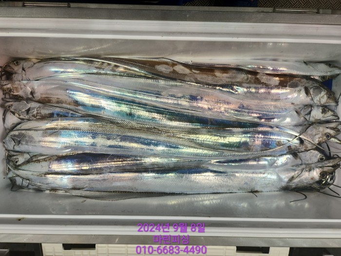 62638898cd11a7c889f5f282e20f0787_1725754418_6751.jpg 62638898cd11a7c889f5f282e20f0787_1725754418_6751.jpg