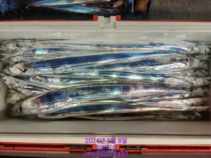 62638898cd11a7c889f5f282e20f0787_1725754420_1829.jpg 62638898cd11a7c889f5f282e20f0787_1725754420_1829.jpg