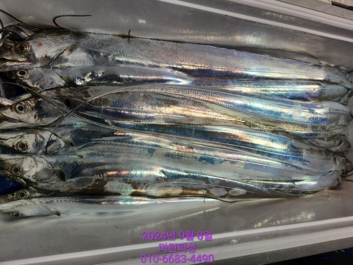 62638898cd11a7c889f5f282e20f0787_1725754421_5324.jpg 62638898cd11a7c889f5f282e20f0787_1725754421_5324.jpg