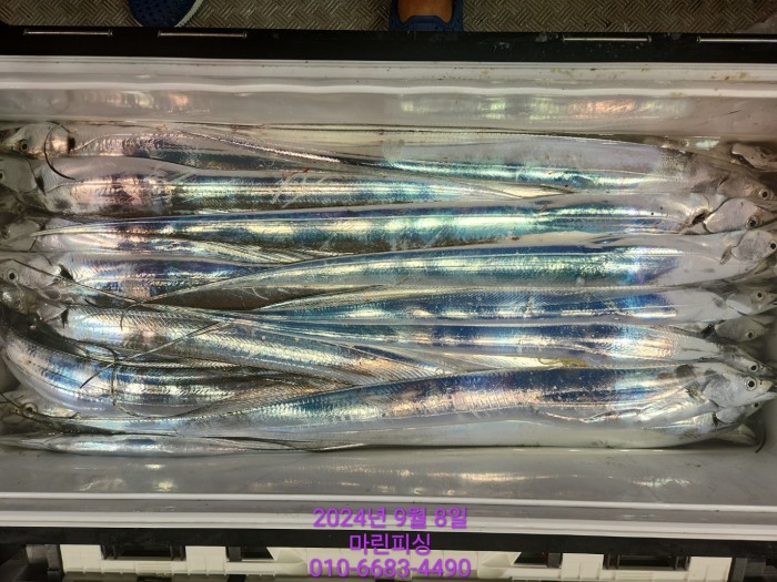 62638898cd11a7c889f5f282e20f0787_1725754422_6666.jpg 62638898cd11a7c889f5f282e20f0787_1725754422_6666.jpg