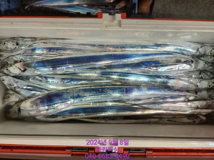 62638898cd11a7c889f5f282e20f0787_1725754423_8434.jpg 62638898cd11a7c889f5f282e20f0787_1725754423_8434.jpg