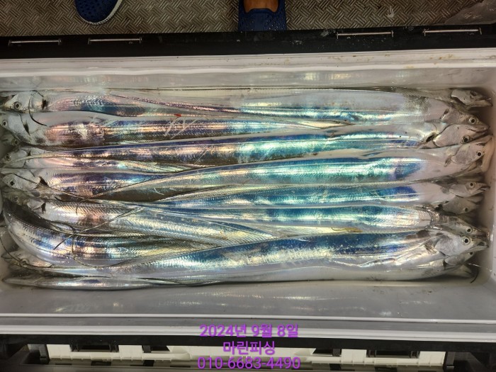 62638898cd11a7c889f5f282e20f0787_1725754425_0499.jpg 62638898cd11a7c889f5f282e20f0787_1725754425_0499.jpg