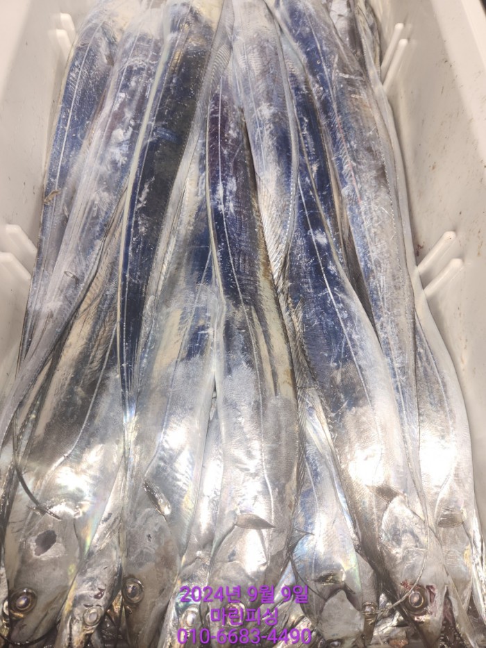 62638898cd11a7c889f5f282e20f0787_1725844326_4584.jpg 62638898cd11a7c889f5f282e20f0787_1725844326_4584.jpg