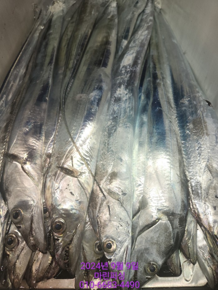 62638898cd11a7c889f5f282e20f0787_1725844327_9946.jpg 62638898cd11a7c889f5f282e20f0787_1725844327_9946.jpg