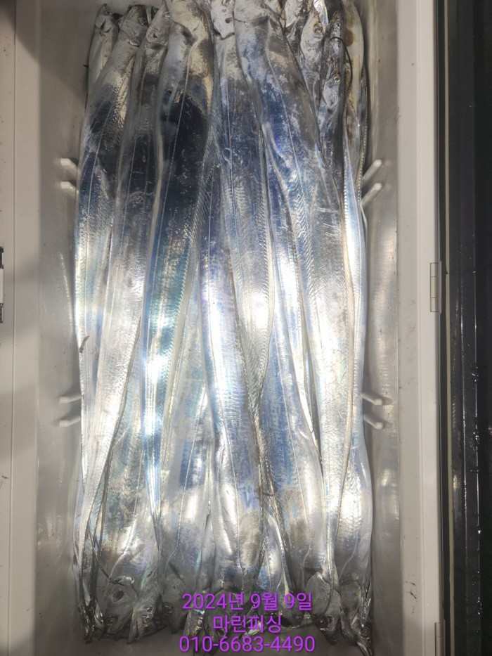 62638898cd11a7c889f5f282e20f0787_1725844329_4422.jpg 62638898cd11a7c889f5f282e20f0787_1725844329_4422.jpg