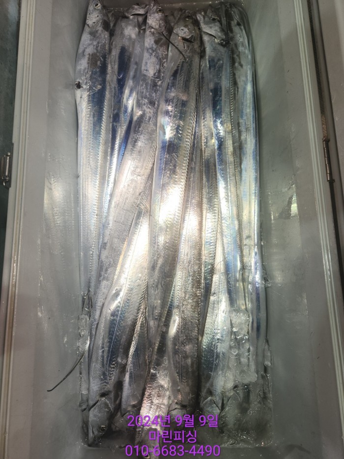 62638898cd11a7c889f5f282e20f0787_1725844330_7946.jpg 62638898cd11a7c889f5f282e20f0787_1725844330_7946.jpg